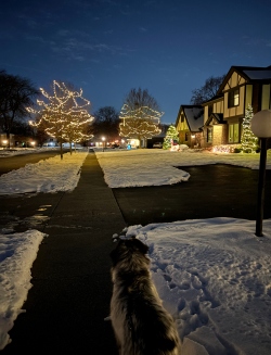 Fundraising Page Image